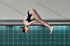 Maddy Morrison  Wheaton College Women's diver Maddy Morrison competes against Babson College, January 11, 2020. - Photo By: KEITH NORDSTROM : Wheaton, Swimming, Maddy Morrison